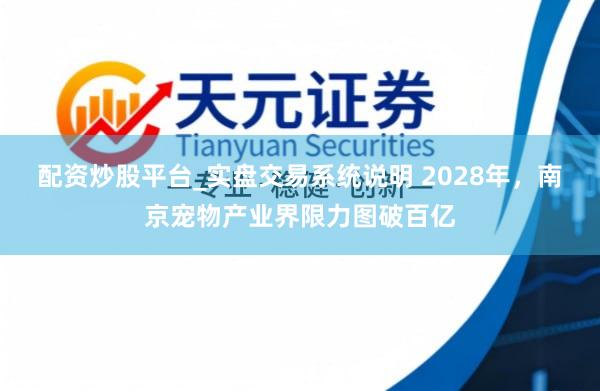 配资炒股平台_实盘交易系统说明 2028年，南京宠物产业界限力图破百亿