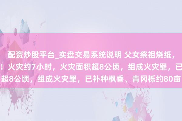 配资炒股平台_实盘交易系统说明 父女祭祖烧纸，75岁老东说念主被判刑！火灾约7小时，火灾面积超8公顷，组成火灾罪，已补种枫香、青冈栎约80亩
